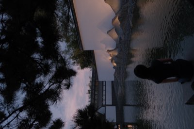 Documentary 15