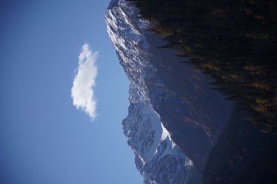 Landscape 1