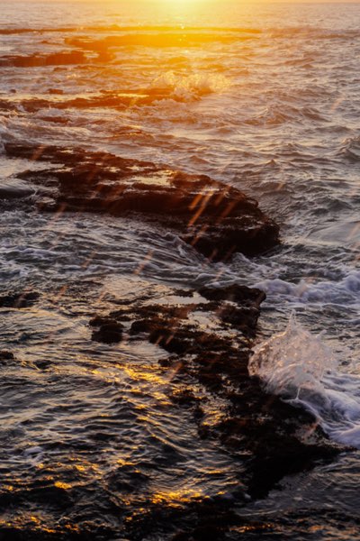 Landscape 4