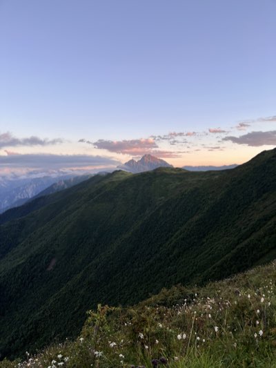 Landscape 6