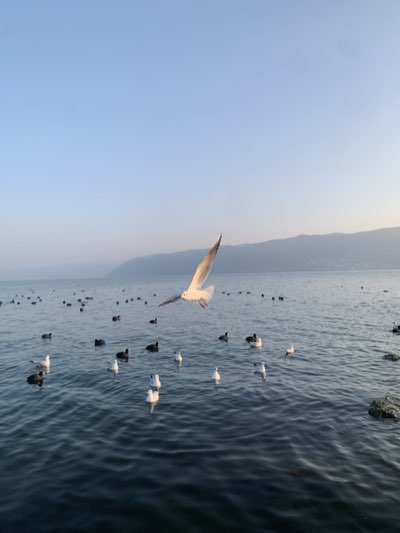 Landscape 7