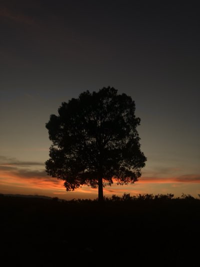 Landscape 12