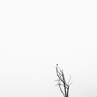 Landscape 13