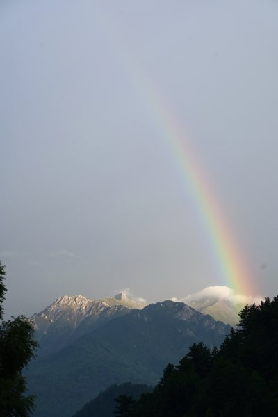 Landscape 8