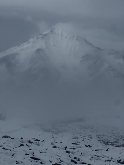 Landscape 10
